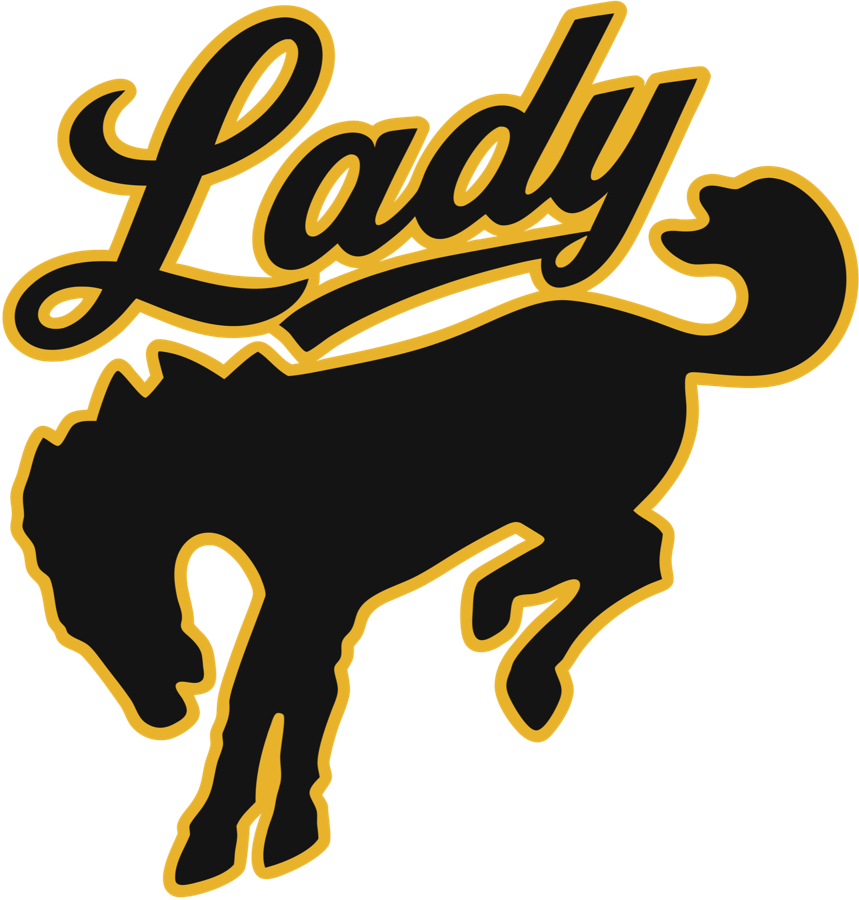 Lady Broncos Softball